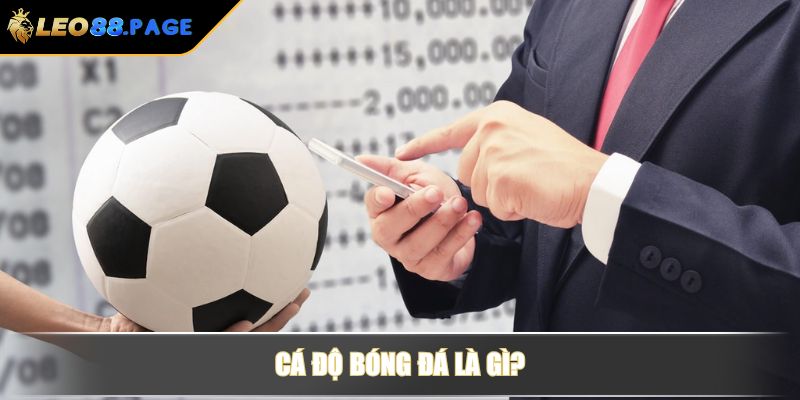 Cá độ bóng đá là gì?
