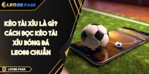 Kèo tài xỉu là gì? Cách đọc kèo tài xỉu bóng đá LEO88 chuẩn